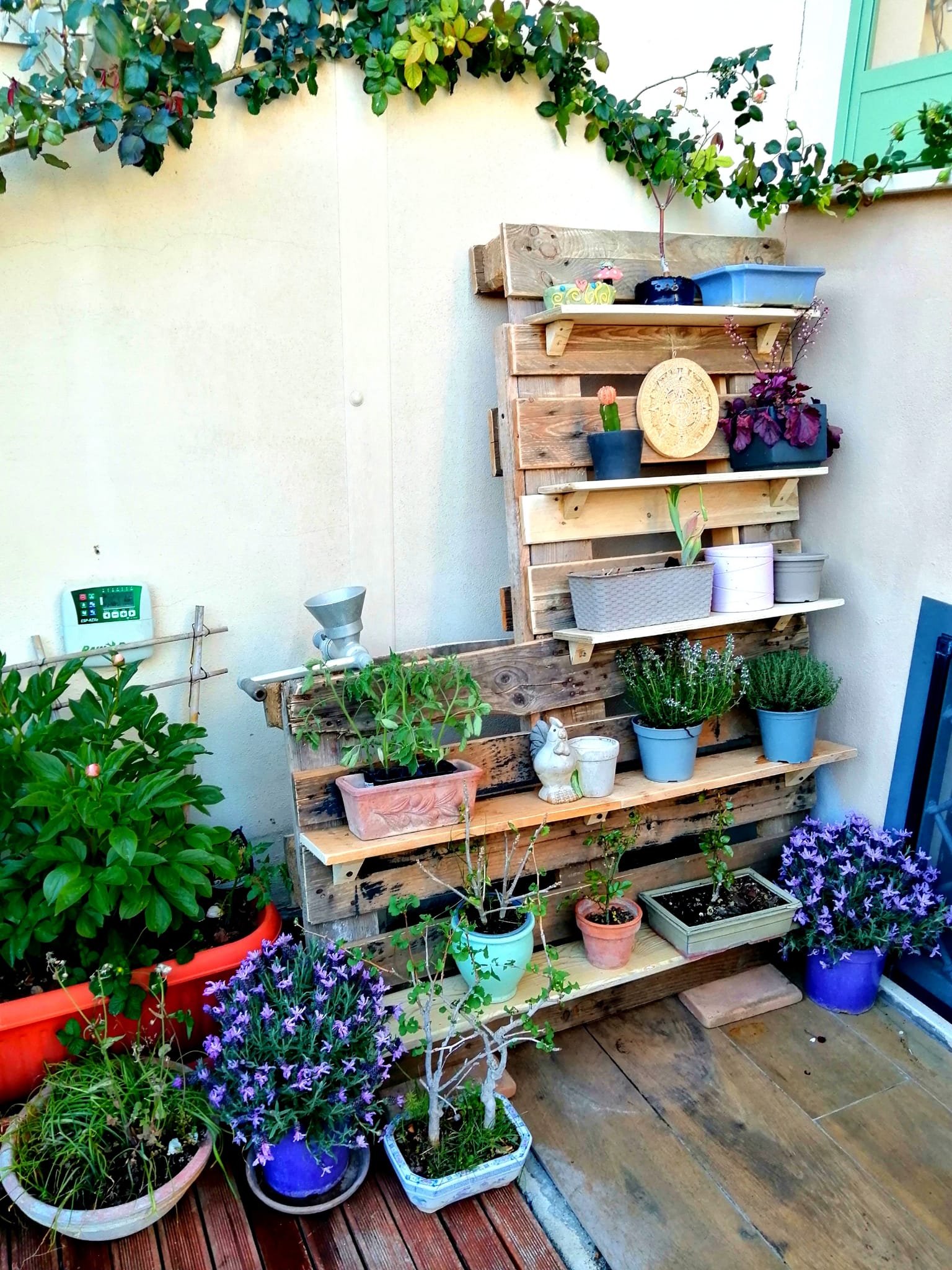 etagere-pallet-porta-erbe-recupero